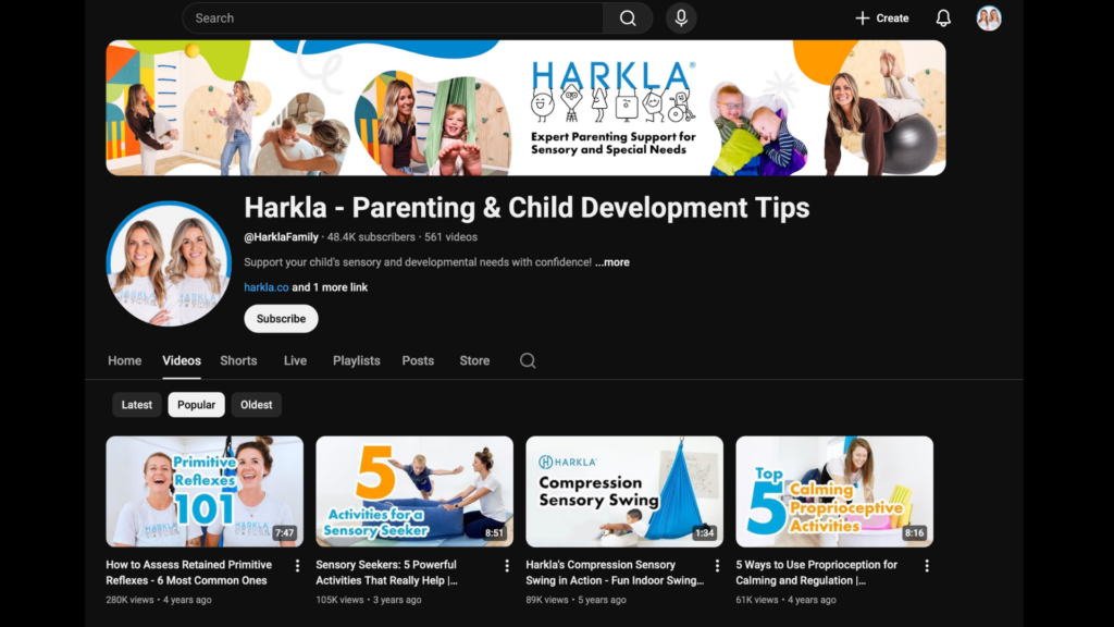 48K YouTube Subscribers